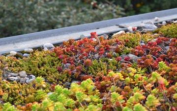 the cost of Ramshaw green roof installation