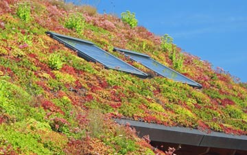 Ramshaw living roof systems