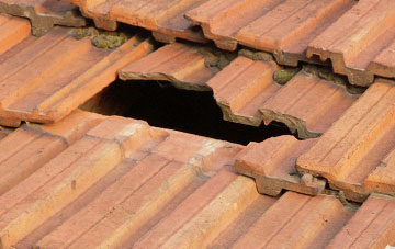 roof repair Ramshaw, County Durham
